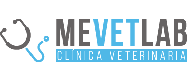 logotype