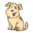 canina